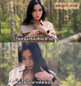 ถ้าเธอเหนื่อยล้าจงเดินเข้าป่า Sweetie Fox Beautiful Mysterious Stranger Called To The Forest